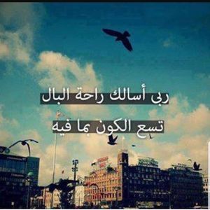 Meet your Posher, Najla